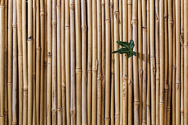 Construction d’une pergola en bambou : les étapes à suivre