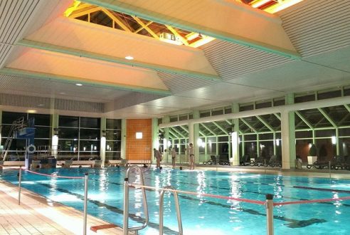 Quel type de bois pour un abri de piscine ?