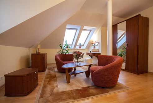 Quelle fenêtre de toit pour éclairer vos combles ?