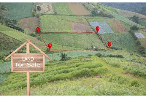 Assurez la délimitation de votre terrain avec des travaux de bornage