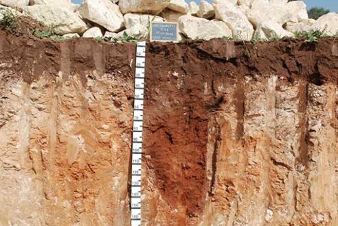 Le test de percolation en géologie : un outil pour étudier les réseaux souterrains