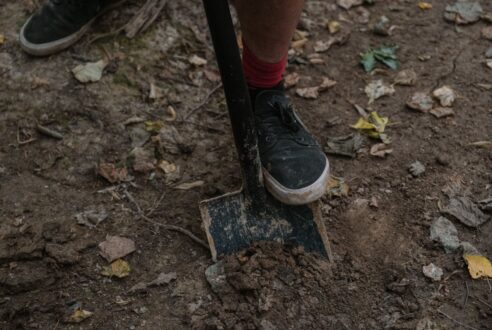 Terrassement pour les jardins et les espaces verts : conseils de professionnels
