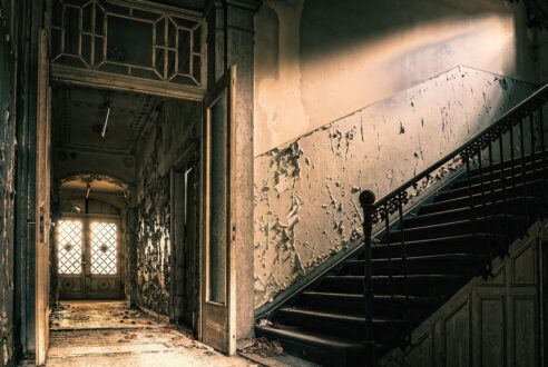 Rénovation ou extension : quelle solution pour un habitat plus spacieux ?