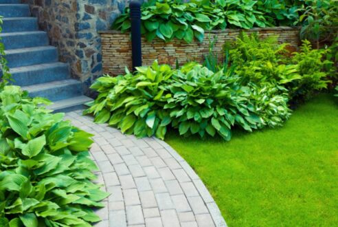 Créer des allées esthétiques et durables : Les meilleures options pour votre extérieur