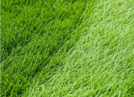 Tonte de pelouse : le secret d&rsquo;un jardin luxuriant sans effort