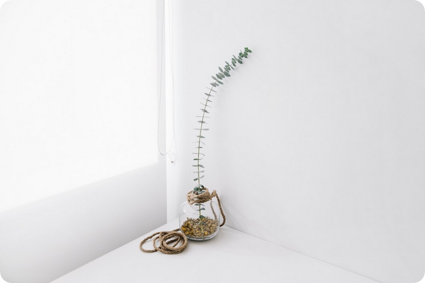 Jouer avec les textures pour donner du relief à une décoration blanche