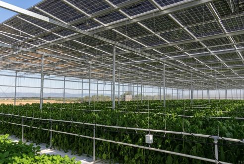 Serre de production photovoltaïque : fausse bonne idée ou véritable rentabilité ?
