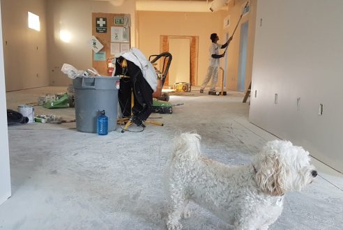 Travaux d&rsquo;aménagement PMR : par où commencer ?