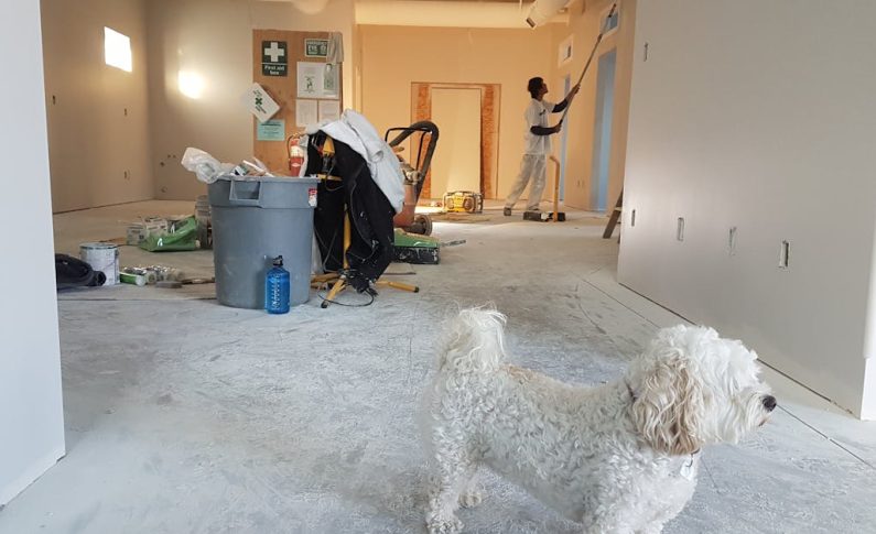 Travaux d&rsquo;aménagement PMR : par où commencer ?