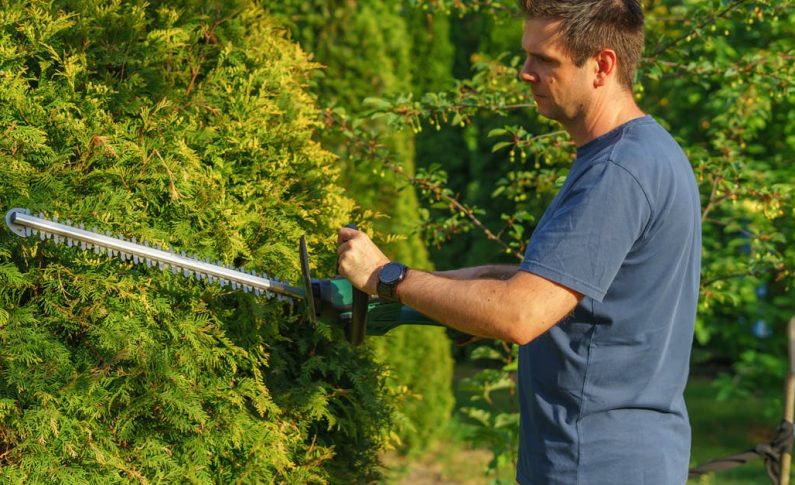 Entretien espaces verts : la taille des haies au taille-haie sur perche