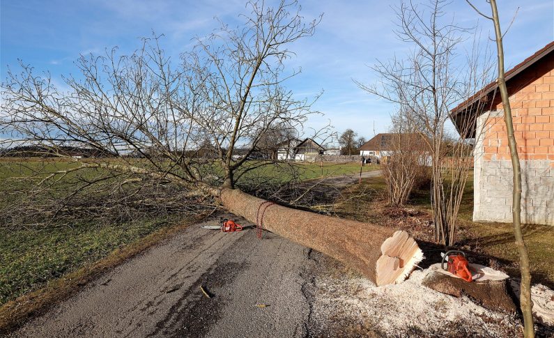 Nacelle sur porteur vs nacelle remorquable : que choisir ?