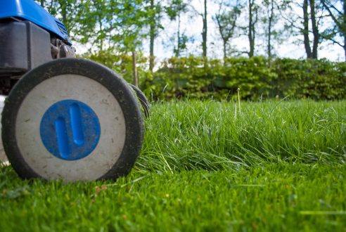 Pourquoi l&rsquo;entretien des espaces verts booste le charme de votre domaine ?