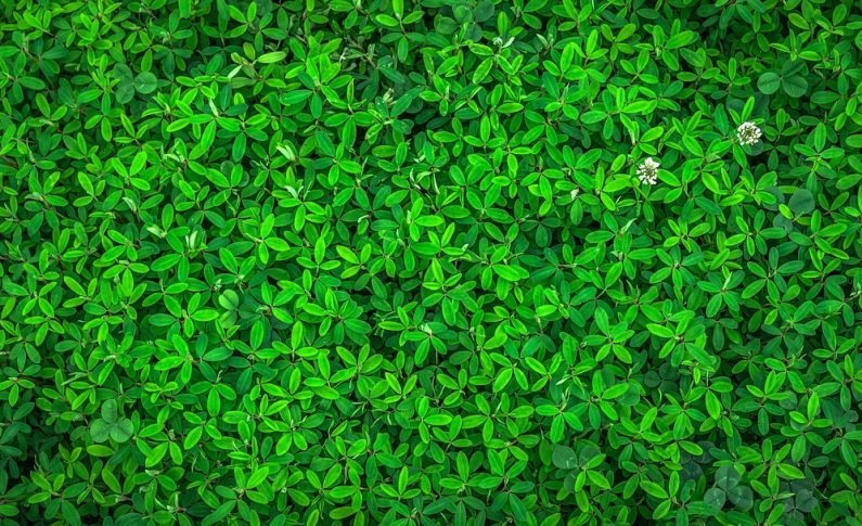 Les secrets d&rsquo;une peinture écologique performante et durable