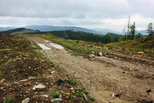 Viabilisation d’un terrain enclavé : droit de désenclavement