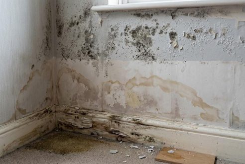 Traitement de l&rsquo;humidité : les signes qui doivent vous alerter