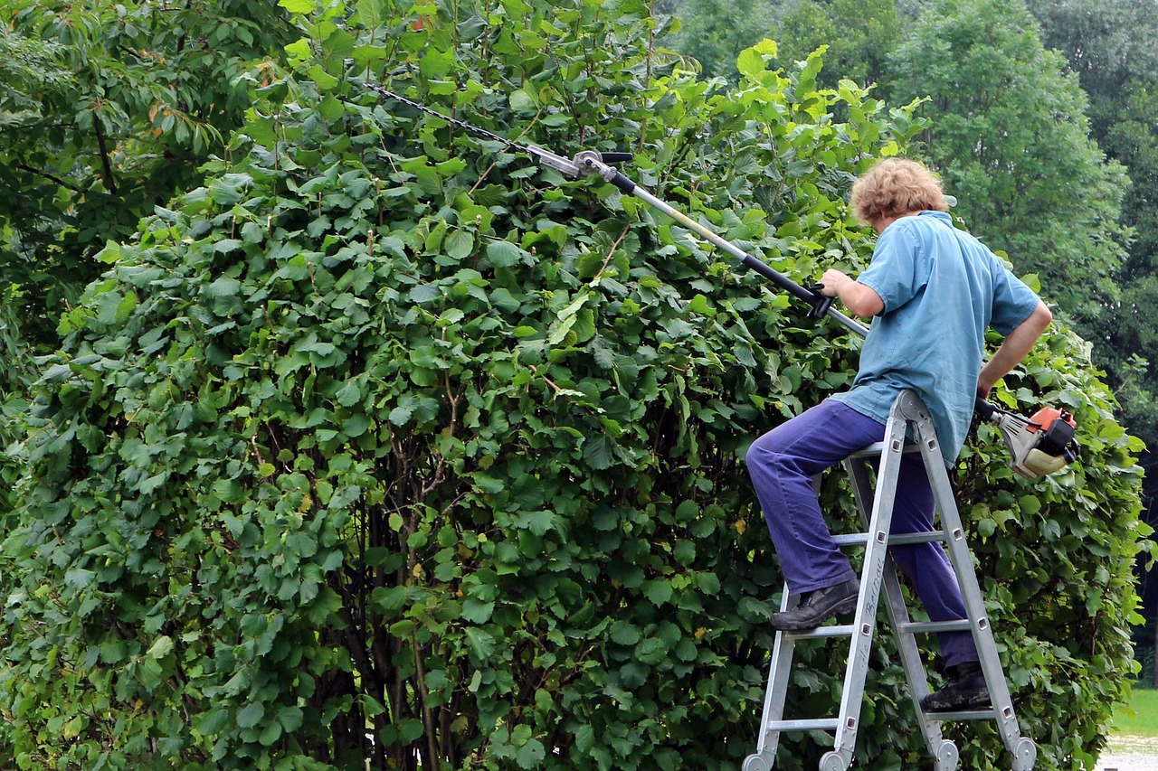 découvrez nos conseils pour tailler vos haies efficacement : techniques, périodes idéales et outils pour obtenir un jardin soigné et des haies en pleine santé.