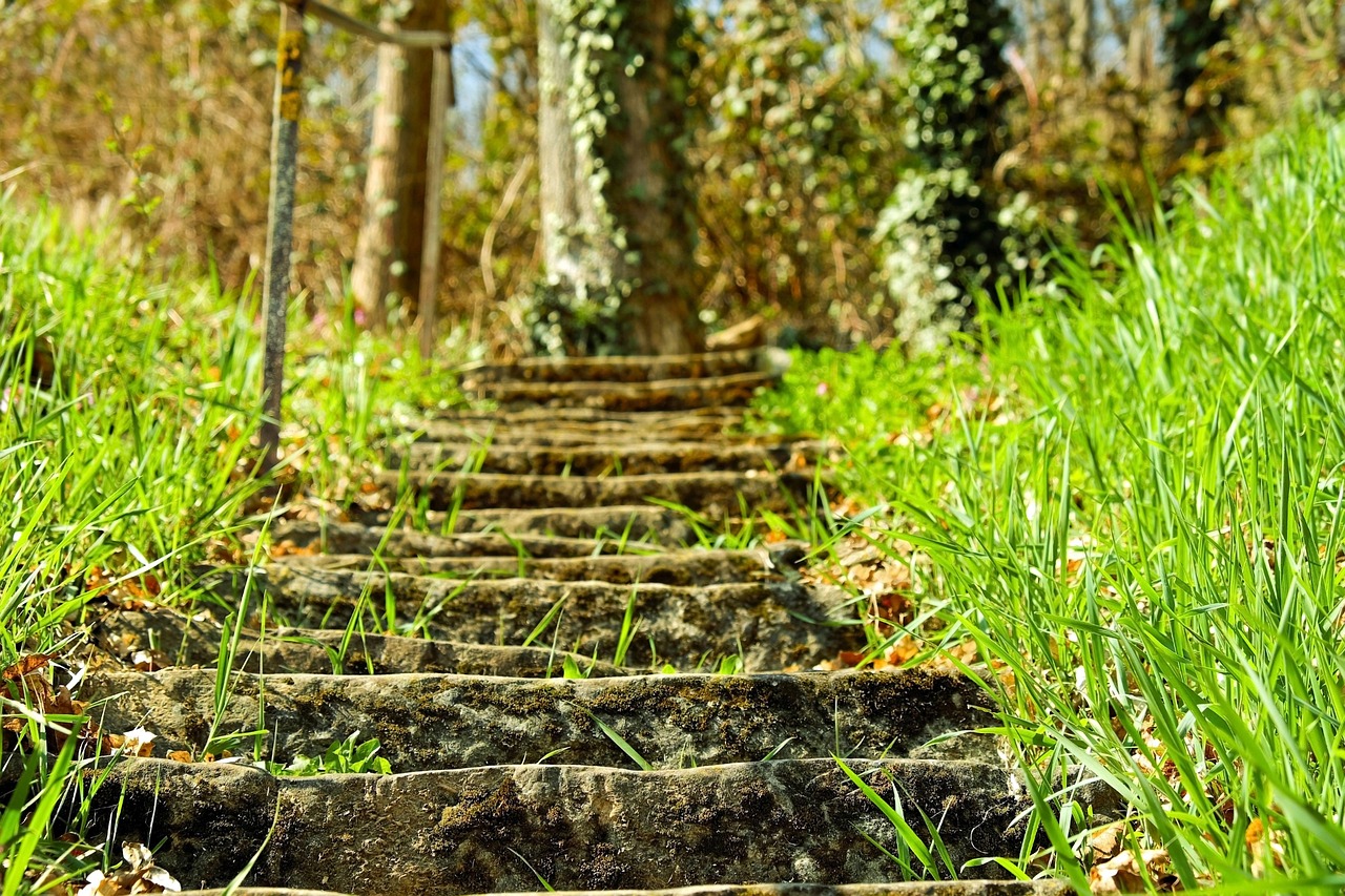 sublimez vos extérieurs avec des marches en pierre naturelle, durables et élégantes, idéales pour aménager escaliers, terrasses et jardins.