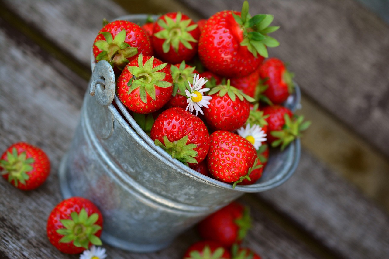 découvrez les différences entre les fruits et légumes bio et conventionnels : méthodes de culture, pesticides, impact environnemental, nutrition et prix.