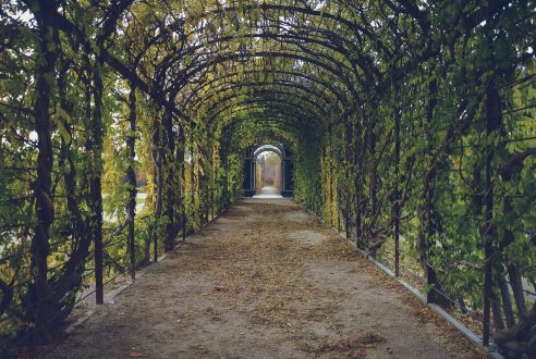 Intégrer sa cuisine d&rsquo;été sous une pergola : nos conseils