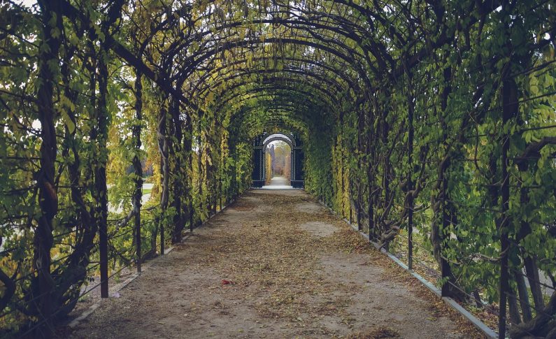 Intégrer sa cuisine d&rsquo;été sous une pergola : nos conseils