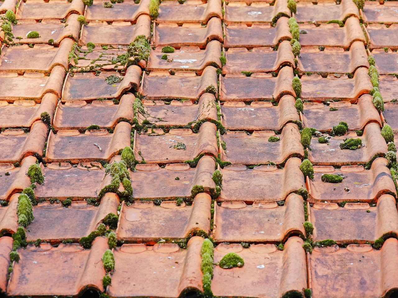 trouvez un couvreur qualifié pour vos travaux de toiture : installation, réparation et entretien réalisés avec expertise et matériaux de qualité.