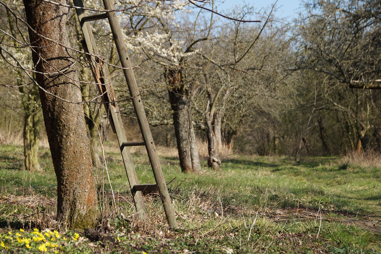 découvrez comment le pruning de rétention supprime les données devenues inutiles afin d’optimiser le stockage et de respecter les durées de conservation.