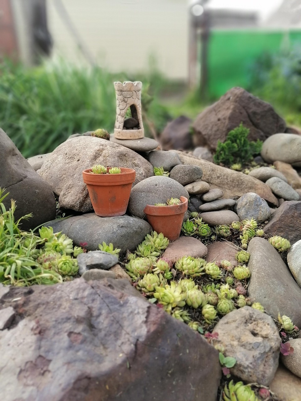 découvrez comment créer un jardin de rocaille harmonieux avec des pierres, des plantes adaptées et des idées d’aménagement faciles à réaliser.
